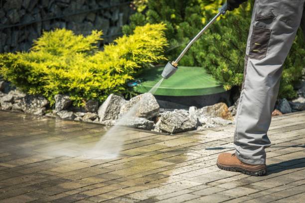 Best Animal Enclosure Cleaning  in New Fairview, TX